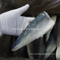 Frozen Wholesale Natural Mackerel Fish Fillet For Export